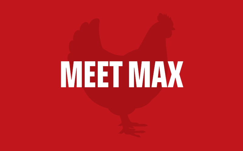 Meet Max